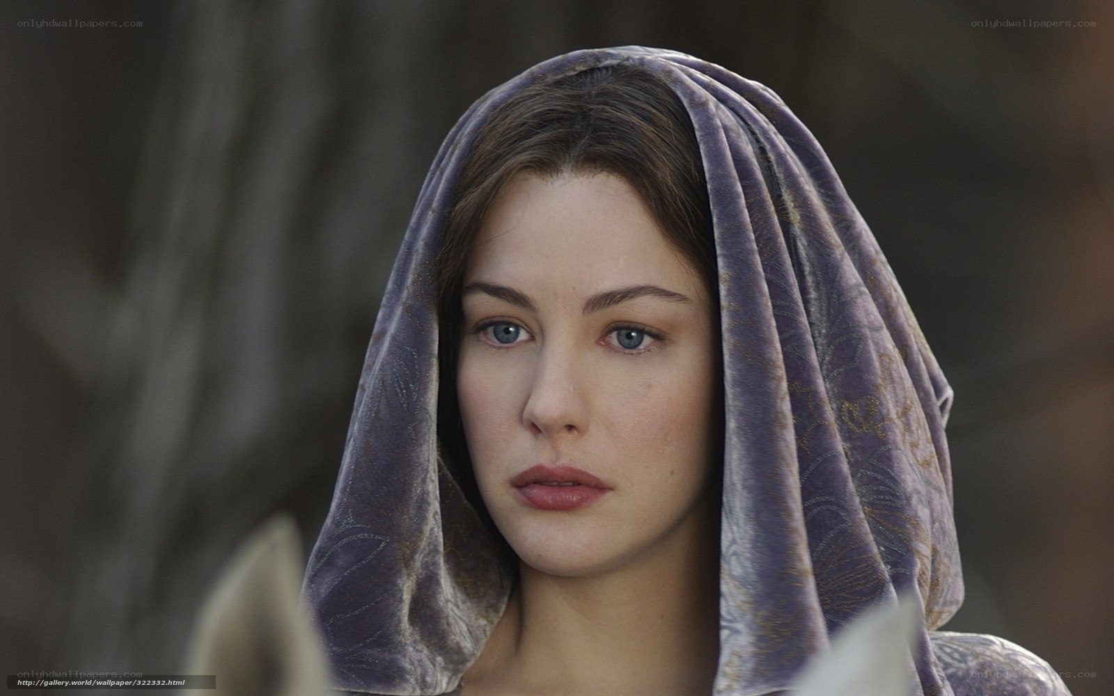 woman in purple hooded cloak