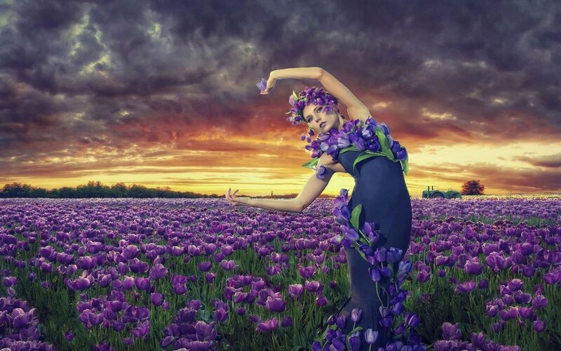 Woman in Purple Tulip Field — Dramatic, Sunset