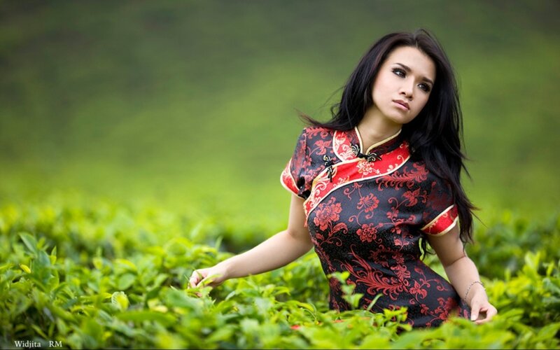 woman in qipao at tea plantation