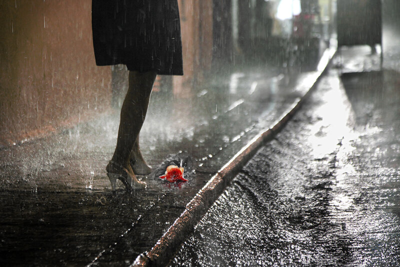 Woman in Rain with Rose
