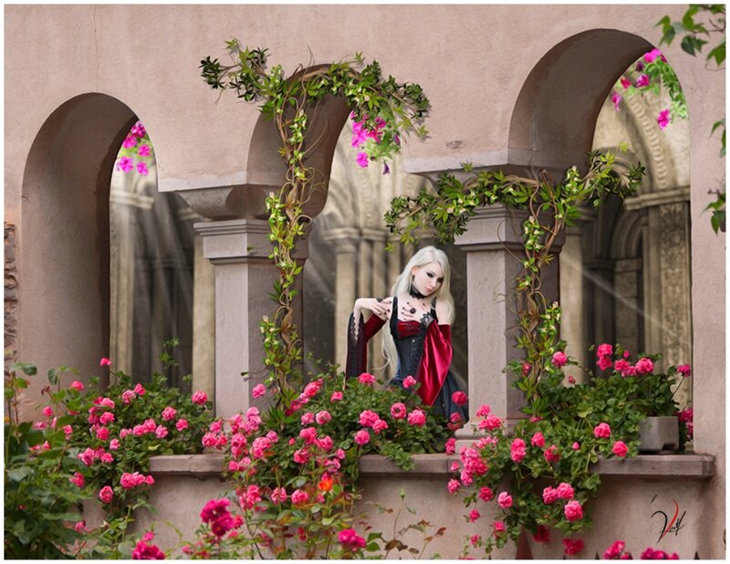 Woman in Red and Black Dress — Pink