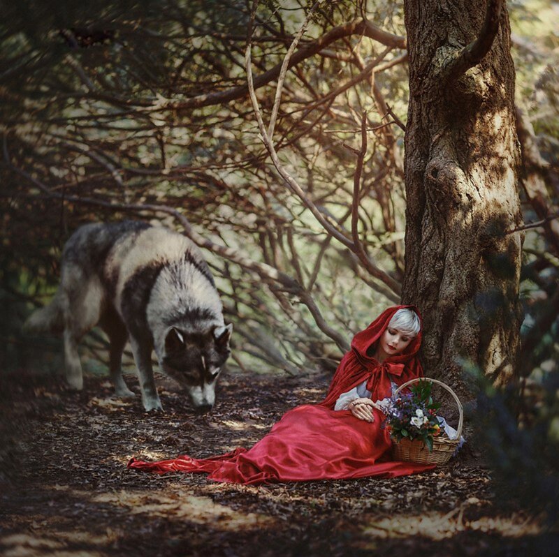 Woman in Red Cloak — Dramatic, Afternoon, Photograph, Wolf, Basket