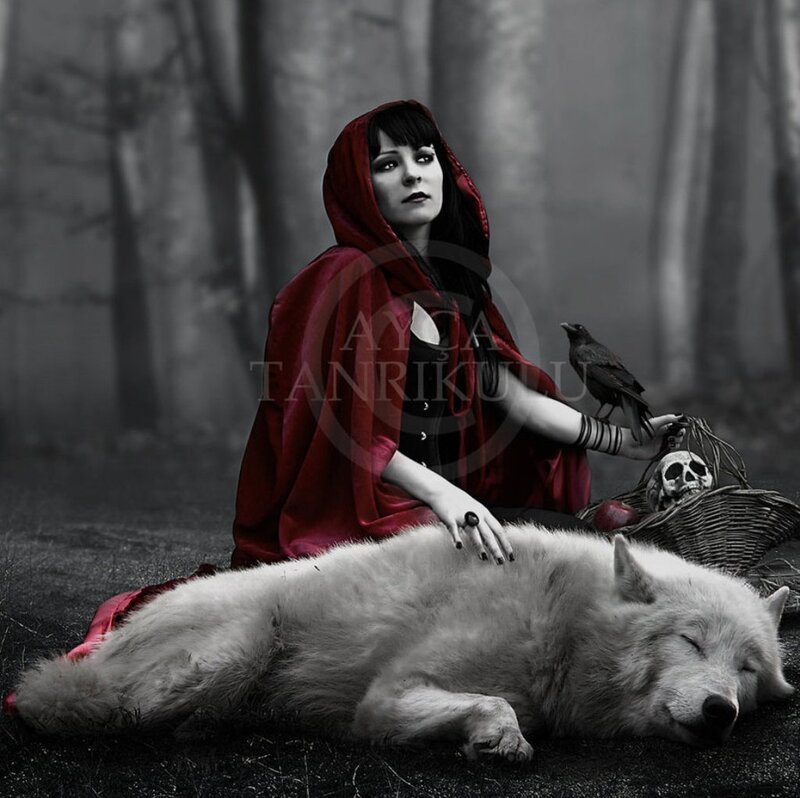 Woman in Red Cloak — Dramatic, Photograph, Wolf