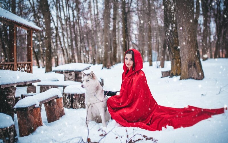 Woman in Red Cloak — Serene, Winter, Photograph, Husky Dog