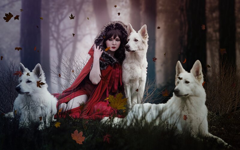 Woman in Red Cloak with Dogs — Dramatic