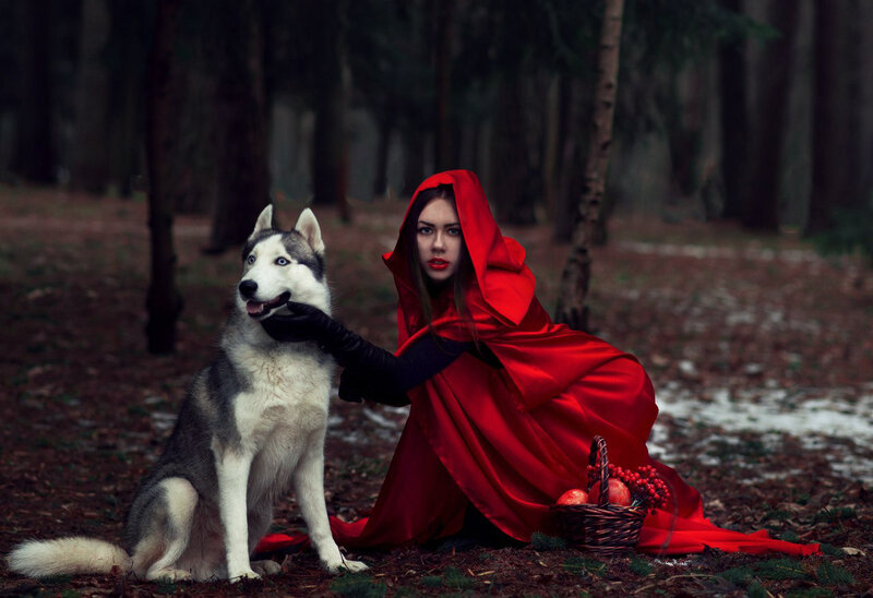 Woman in Red Cloak with Husky