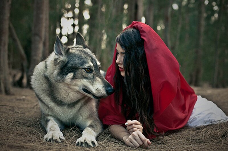 Woman in Red Cloak with Wolf — Serene