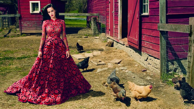 Woman in Red Dress — Dramatic, Afternoon, Photograph, Chickens