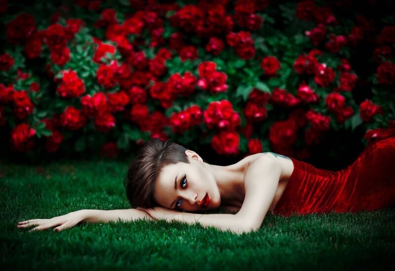 Woman in Red Dress — Dramatic, Afternoon, Photograph, Grass, Roses
