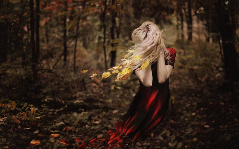 Woman in Red Dress — Dramatic, Autumn, Photograph, Forest, Leaves, Hair