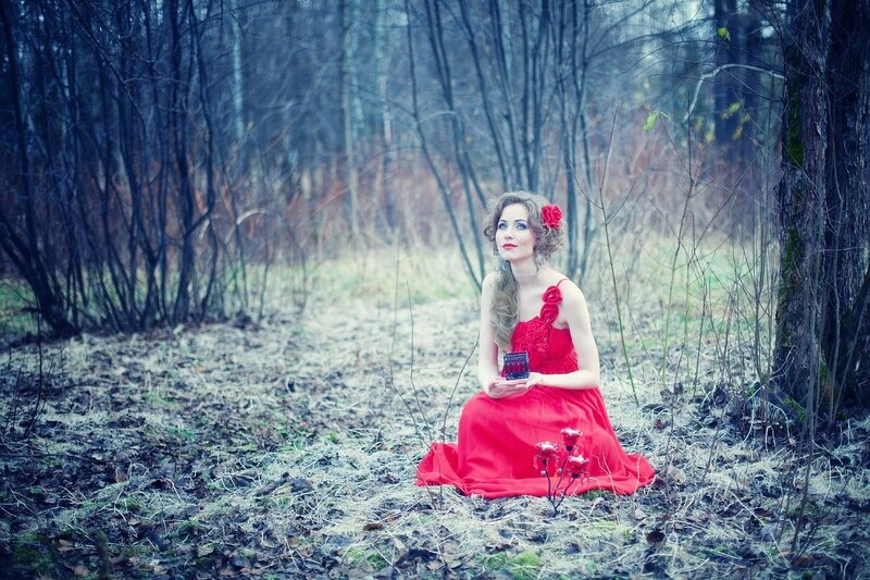Woman in Red Dress — Dramatic, Autumn, Photograph, Red Flower