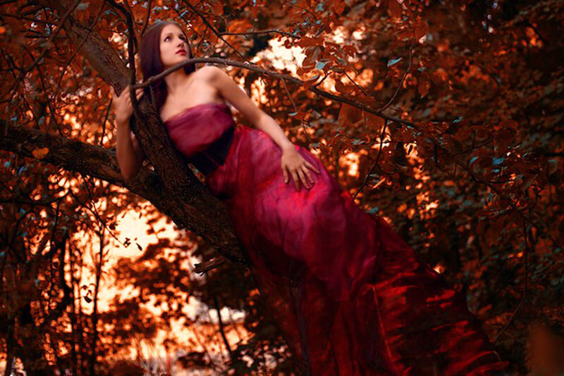 Woman in Red Dress — Dramatic, Autumn, Photograph, Tree