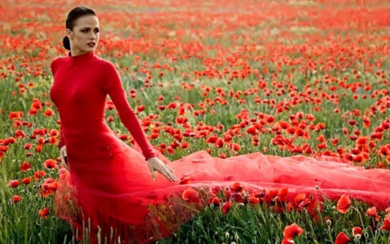Woman in Red Dress — Dramatic, Daytime, Photograph, Poppy Field