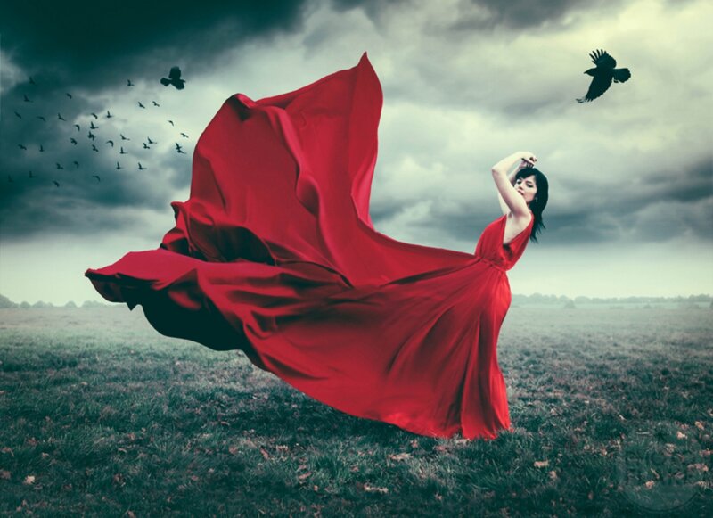 Woman in Red Dress — Dramatic, Digital Art, Birds, Field, Clouds