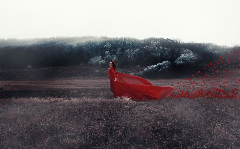 Woman in Red Dress — Dramatic, Digital Art, Field, Bushes