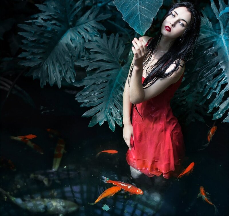 Woman in Red Dress — Dramatic, Night, Photograph, Fish