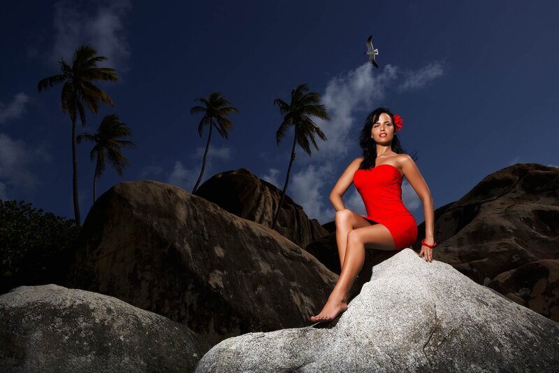 Woman in Red Dress — Dramatic, Night, Photograph, Palm Trees