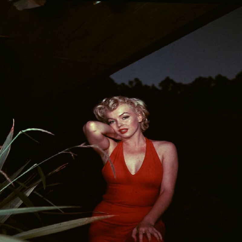 Woman in Red Dress — Dramatic, Night, Photograph, Plants