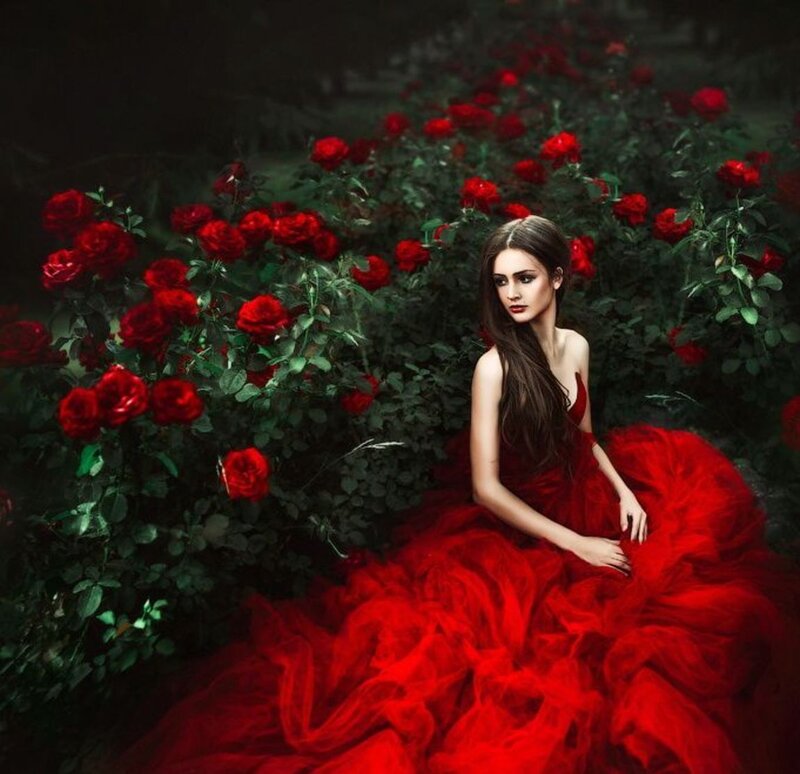 Woman in Red Dress — Dramatic, Night, Photograph, Roses