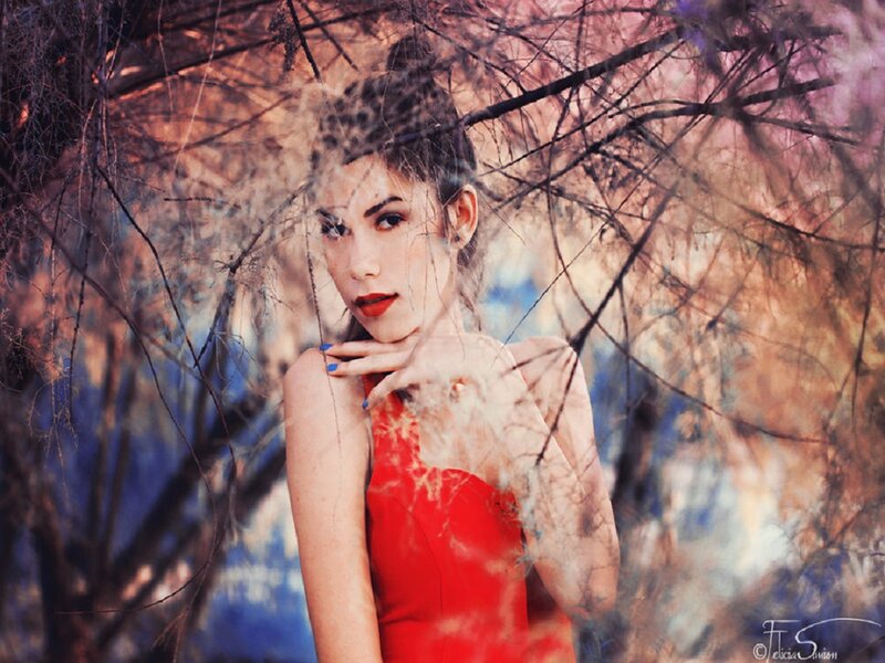 Woman in Red Dress — Dramatic, Photograph, Branches