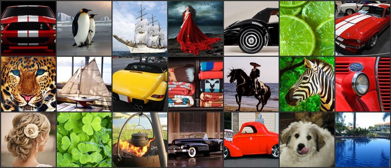 Woman in Red Dress — Dramatic, Photograph, Penguins