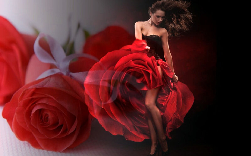 Woman in Red Dress — Dramatic, Photograph, Red Roses