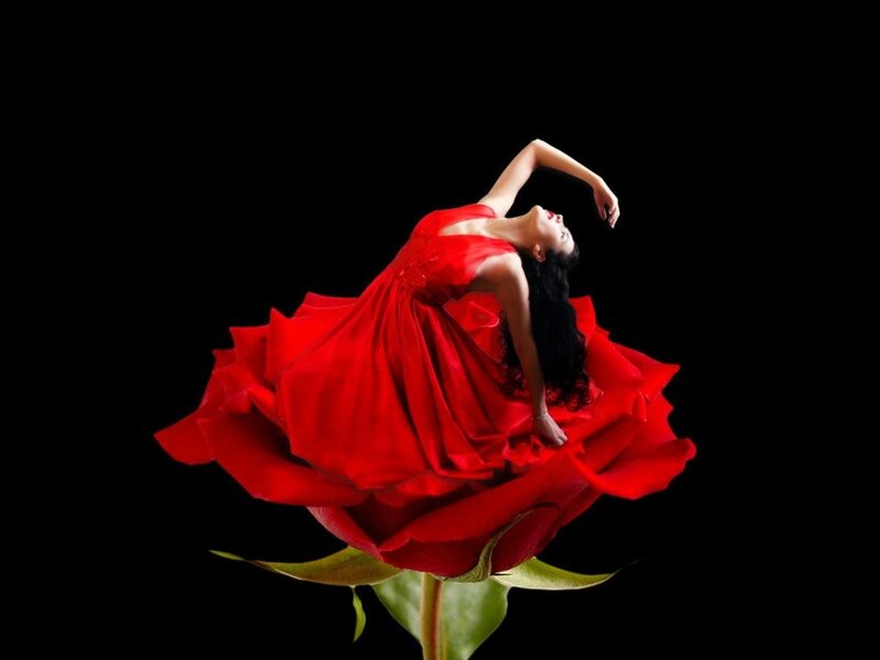 Woman in Red Dress — Dramatic, Photograph, Rose, Black Background