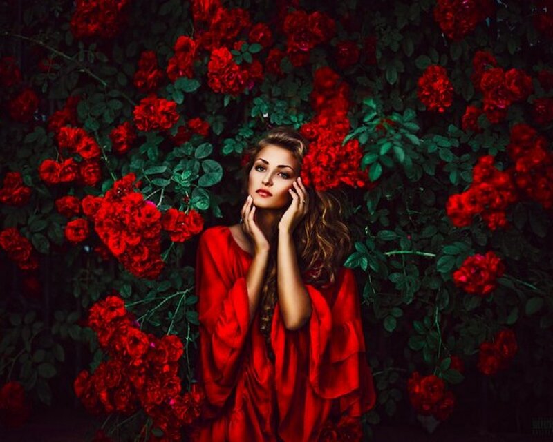 Woman in Red Dress — Dramatic, Photograph, Roses, Green Leaves
