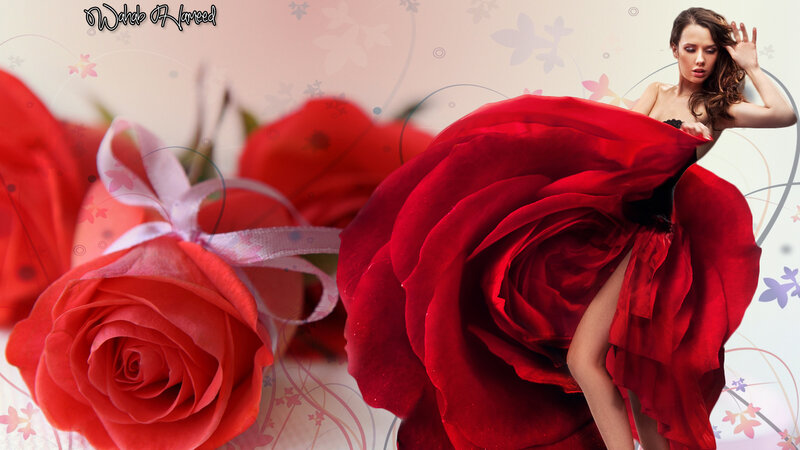 Woman in Red Dress — Dramatic, Photograph, Roses