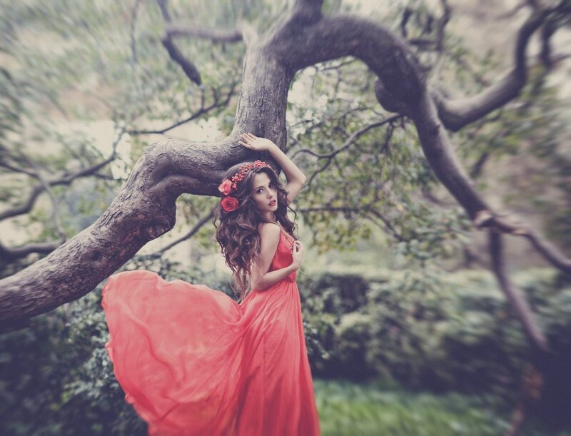 Woman in Red Dress — Dramatic, Photograph, Tree, Flower Crown