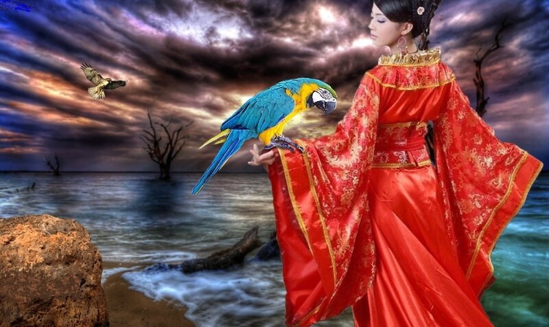 Woman in Red Dress — Dramatic, Sunset, Digital Art, Parrot, Bird
