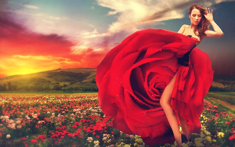 Woman in Red Dress — Dramatic, Sunset, Digital Art, Rose, Field, Sky