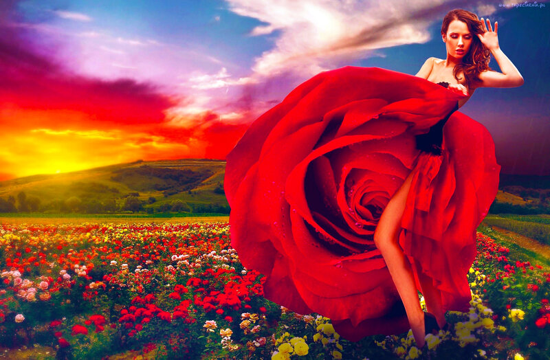 Woman in Red Dress — Dramatic, Sunset, Digital Art, Rose, Field