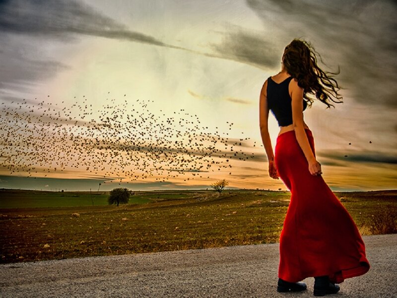 Woman in Red Dress — Dramatic, Sunset, Photograph, Birds