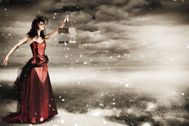 Woman in Red Dress — Dramatic, Winter, Digital Art, Birdcage