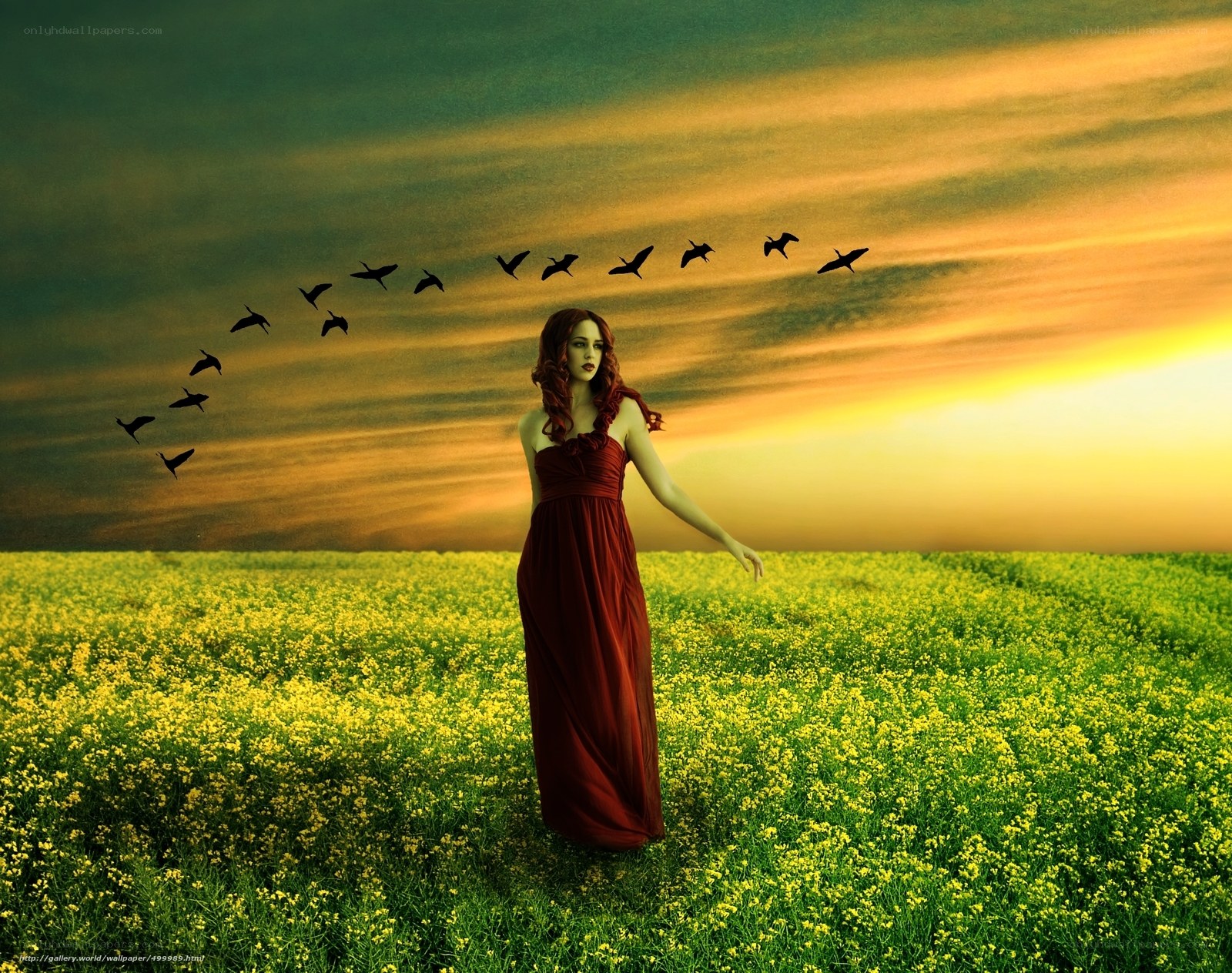Woman in red dress in flower field