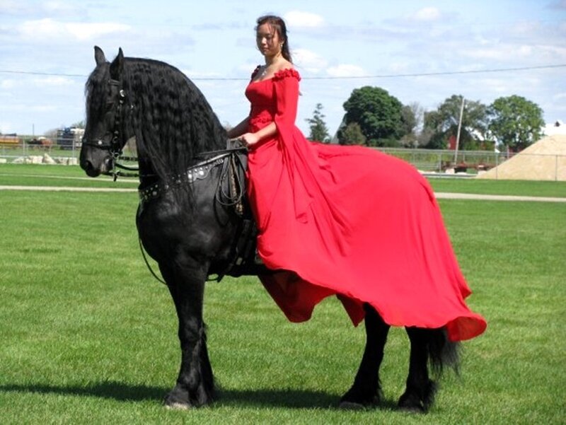 Woman in Red Dress on Horse — Serene