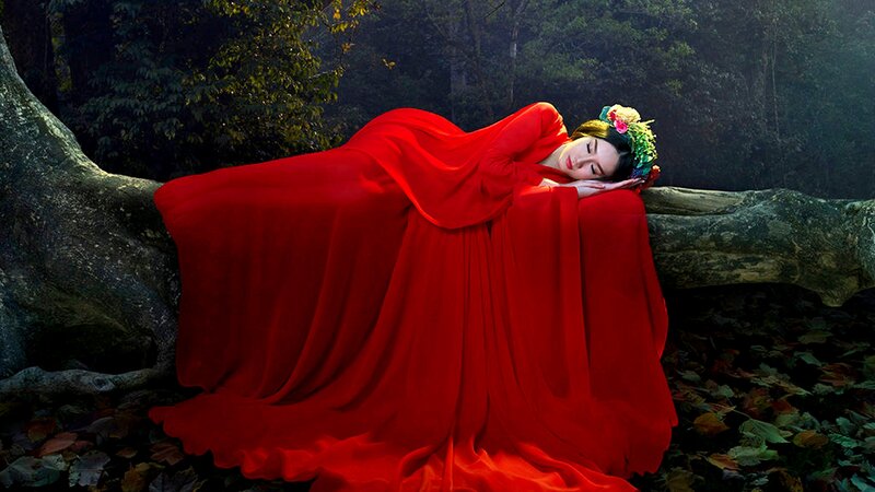 Woman in Red Dress — Serene, Afternoon, Photograph, Forest, Tree Trunk
