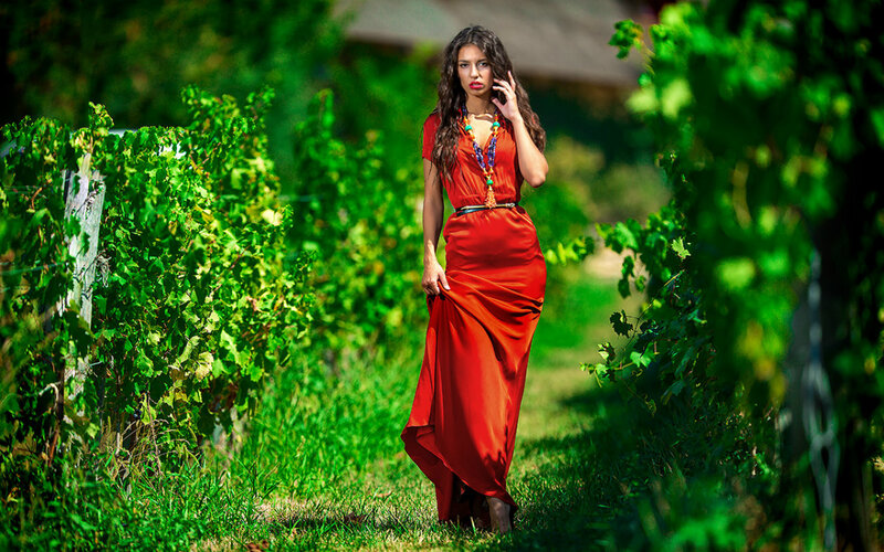 Woman in Red Dress — Serene, Afternoon, Photograph, Grapevines