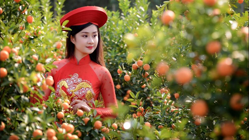 Woman in Red Dress — Serene, Afternoon, Photograph, Orange Trees