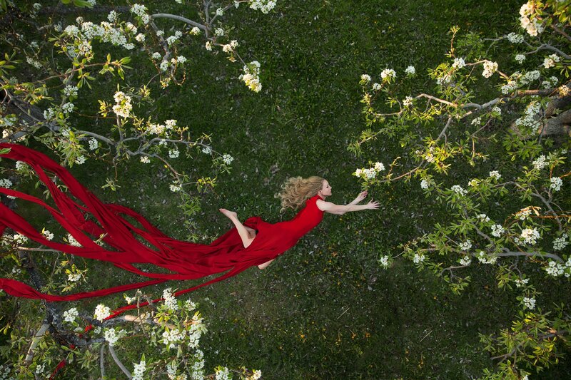 Woman in Red Dress — Serene, Spring, Photograph, Flowering Tree