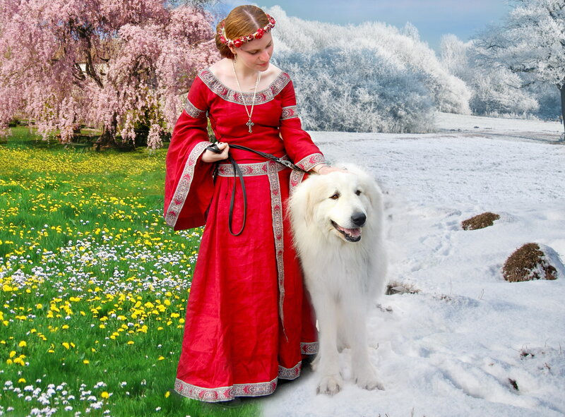 Woman in Red Dress with Dog — Serene