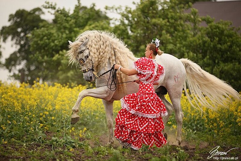 Woman in Red Dress with Horse — Serene, Spring, Photograph