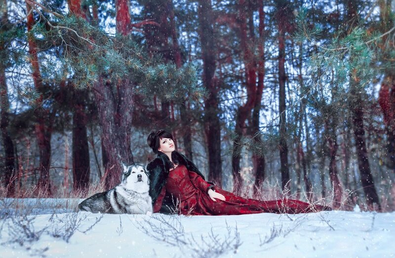 Woman in Red Dress with Husky — Serene