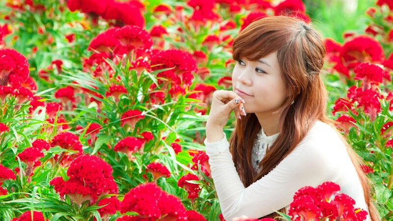 woman in red flower field
