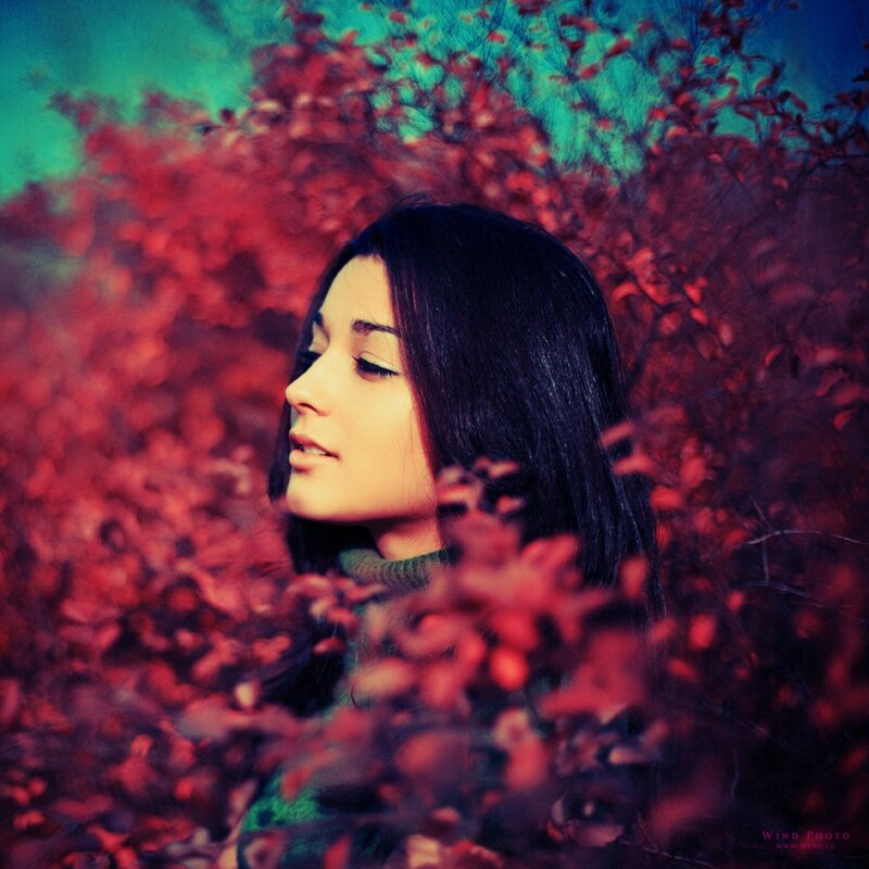 woman in red foliage