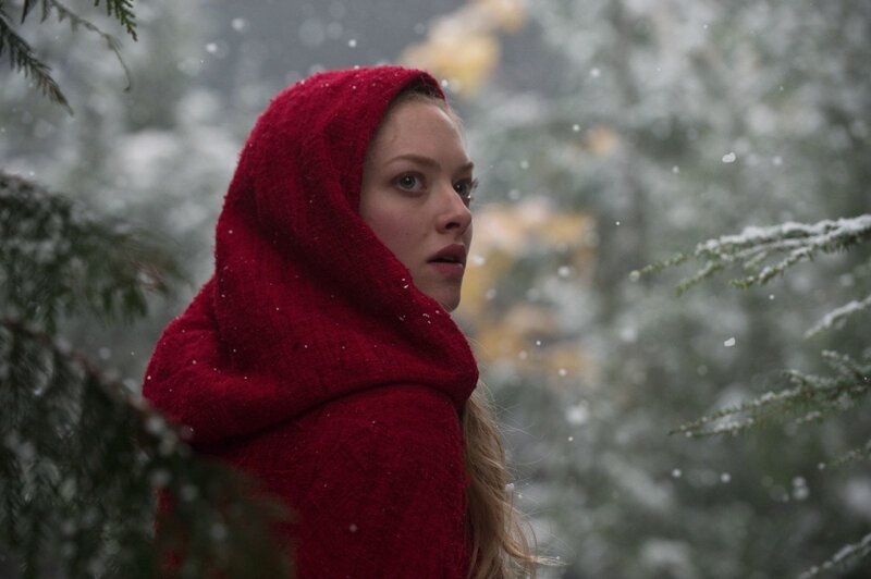 Woman in Red Hood — Dramatic, Winter, Photograph