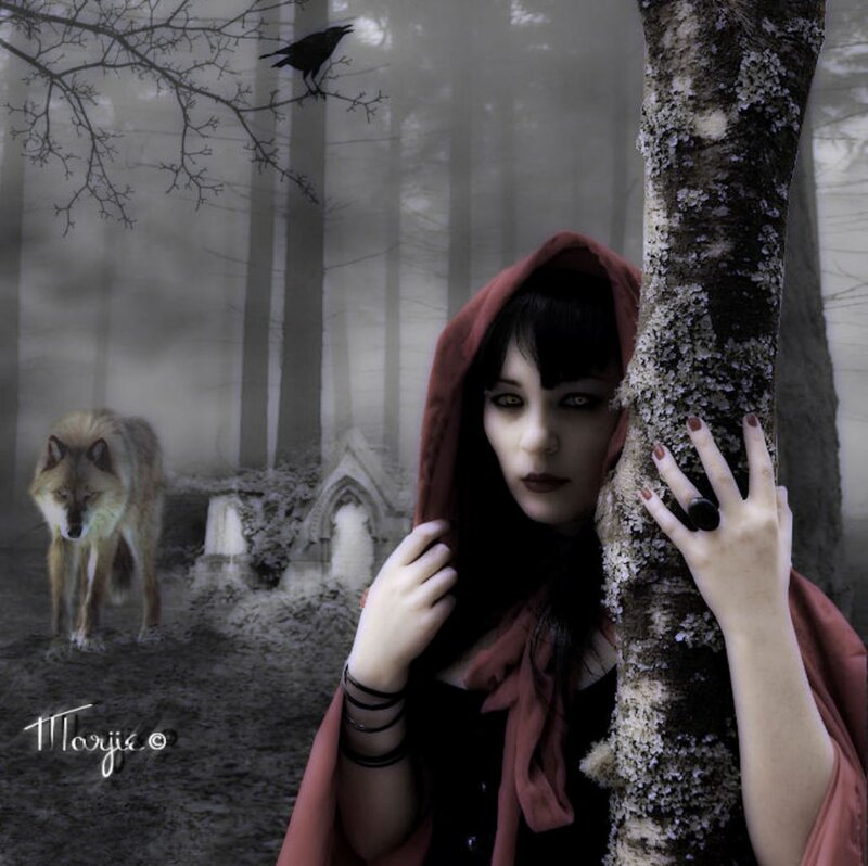Woman in Red Hood — Mysterious