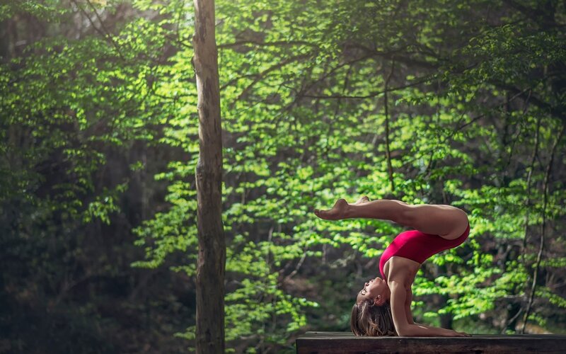 Woman in Red Leotard — Green
