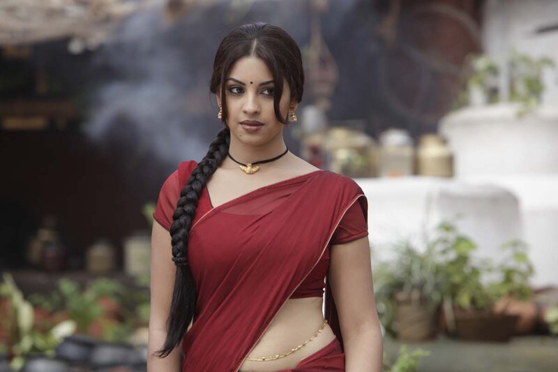 Woman in Red Sari — Dramatic, Photograph, Saree, Braid